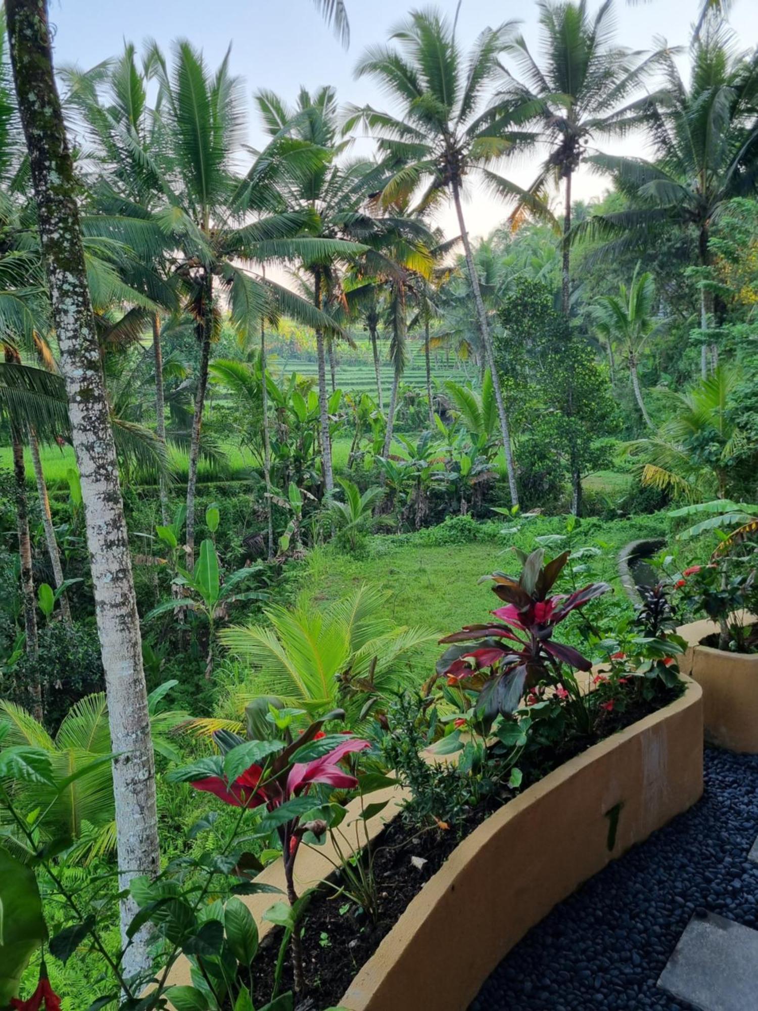 Puri Sebali Resort Ubud Exteriér fotografie